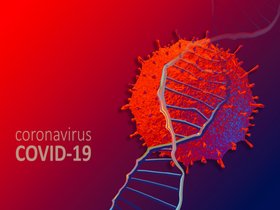 新冠肺炎解謎：基因序列定位找出病毒起源? 還是預測變異?