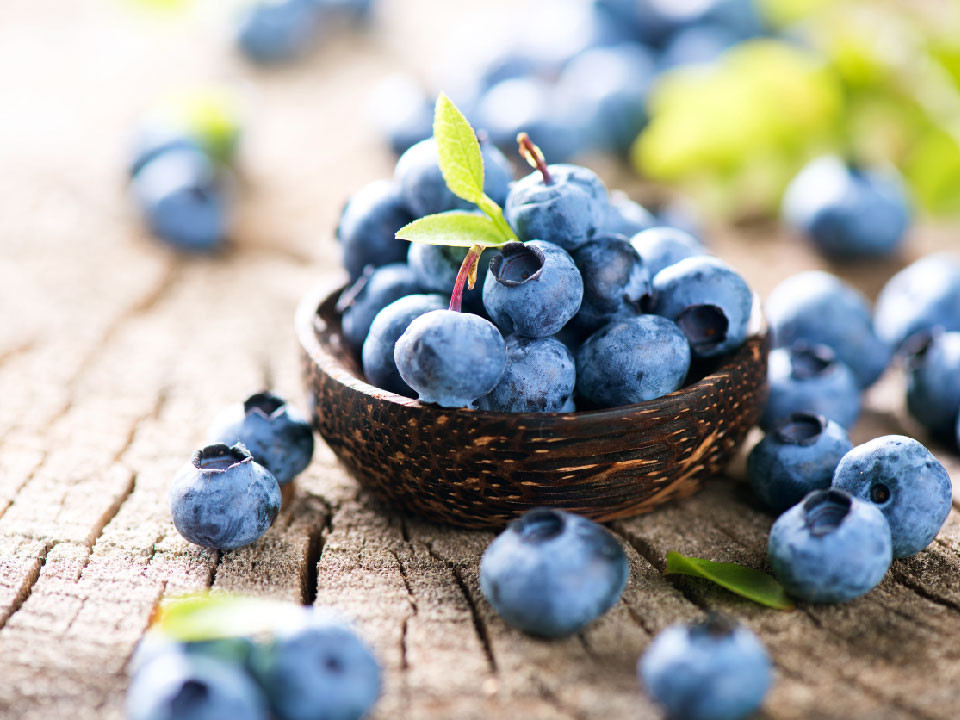 藍莓營養