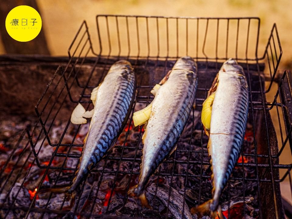 鯖魚營養