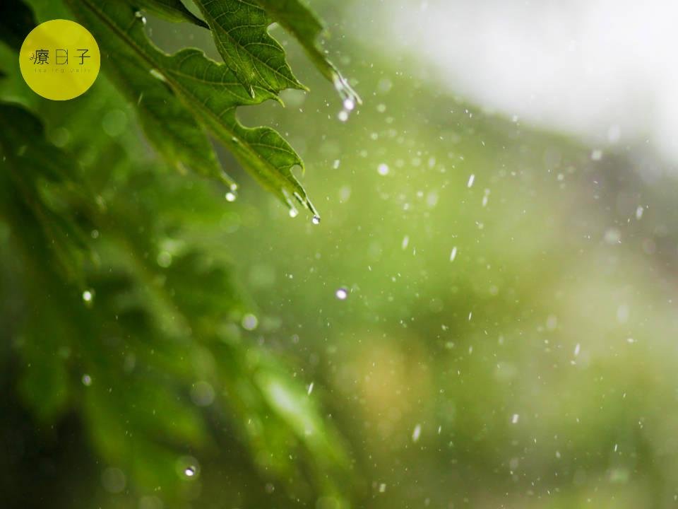 雨水節氣飲食