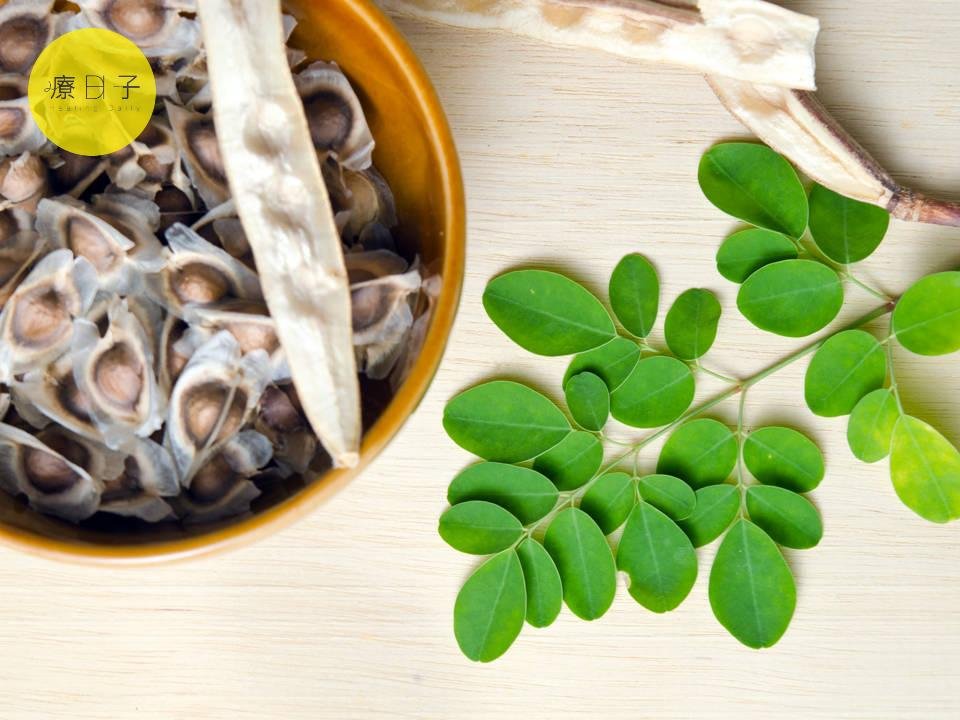 辣木奇蹟