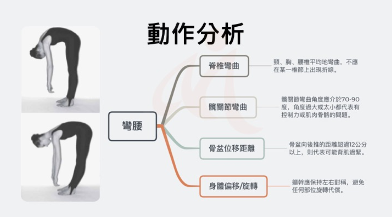 動作分析