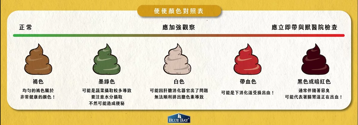 貓狗大便顏色