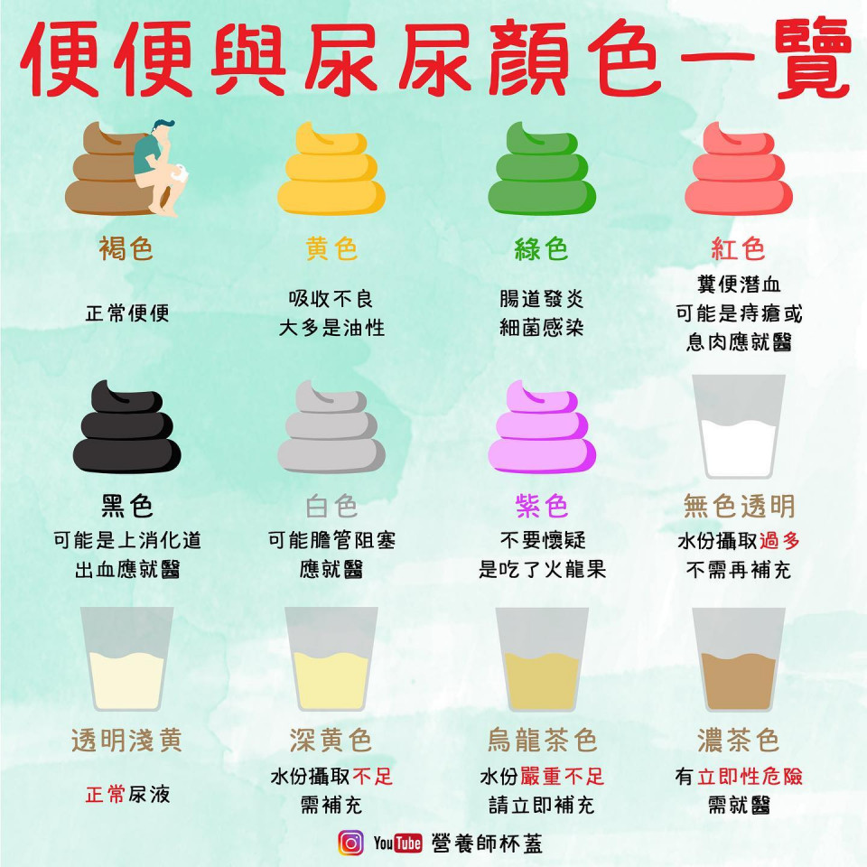 便便與尿尿的顏色一覽