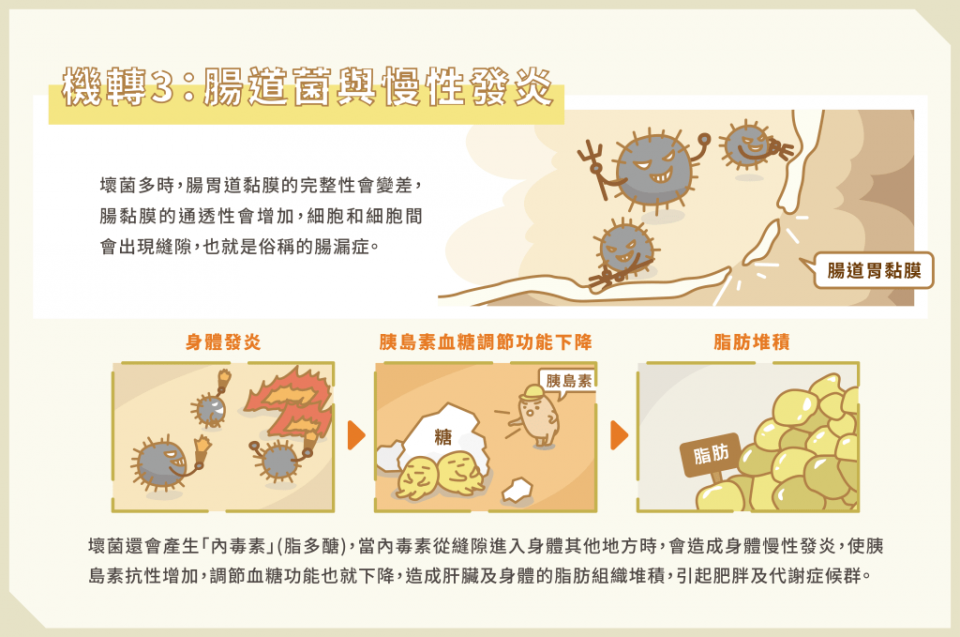 腸道菌與慢性發炎