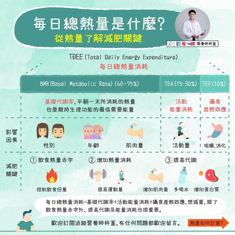 每日總熱量消耗
