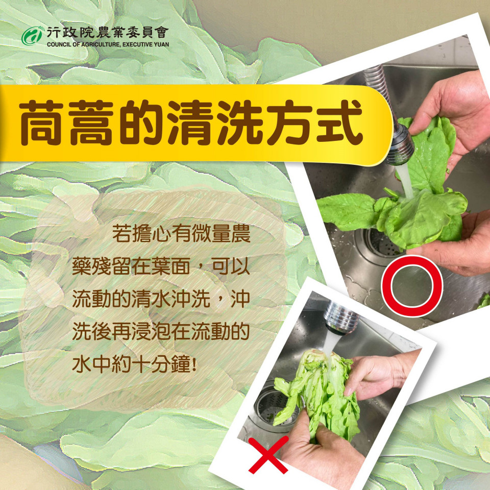 茼蒿怎麼洗