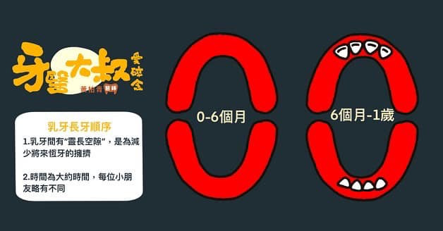 乳牙蛀牙 換牙順序 換牙年齡表