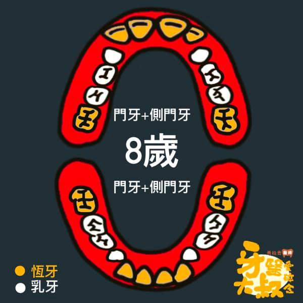 乳牙蛀牙 換牙順序 換牙年齡表