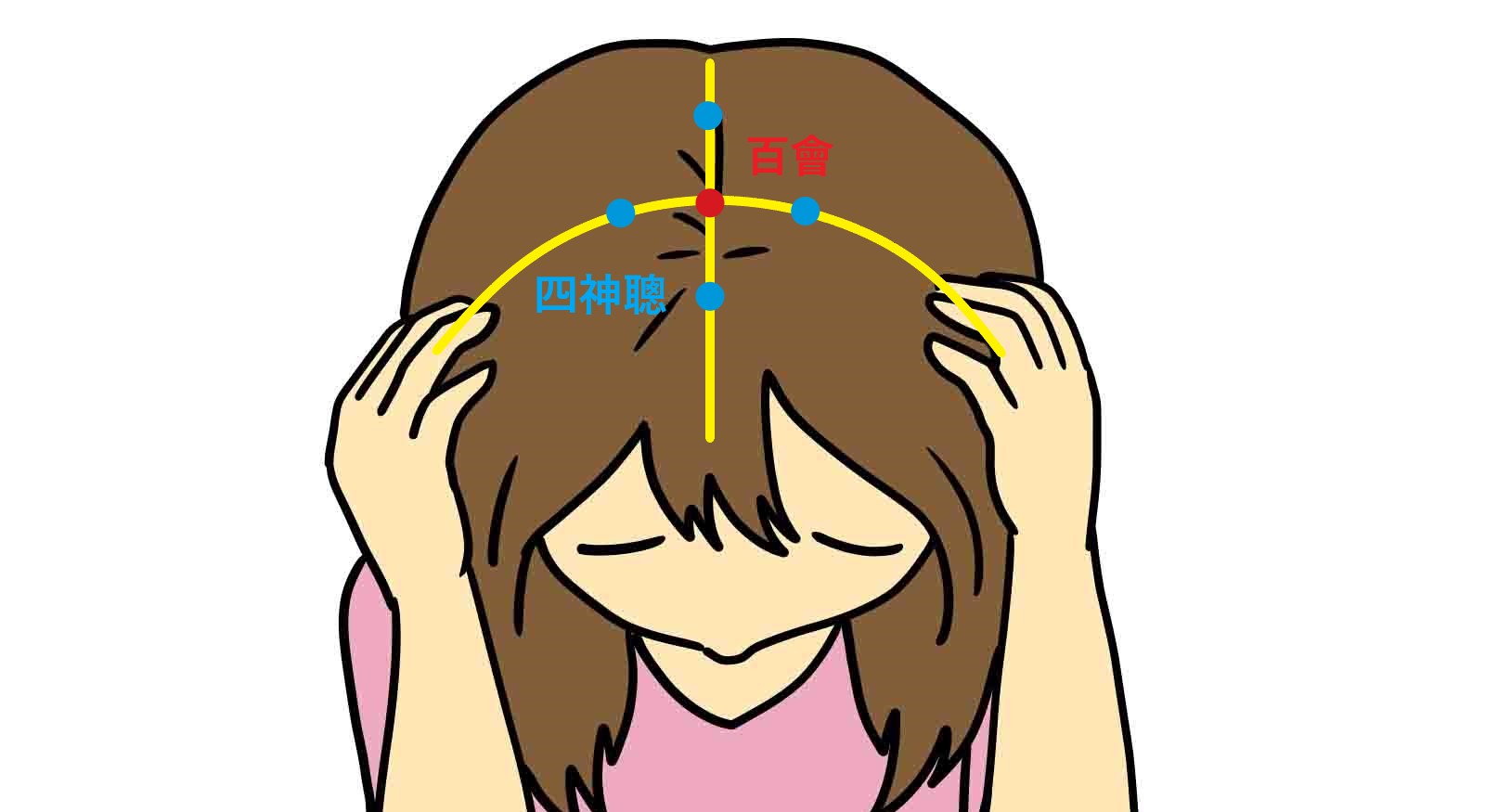 百會與四神聰