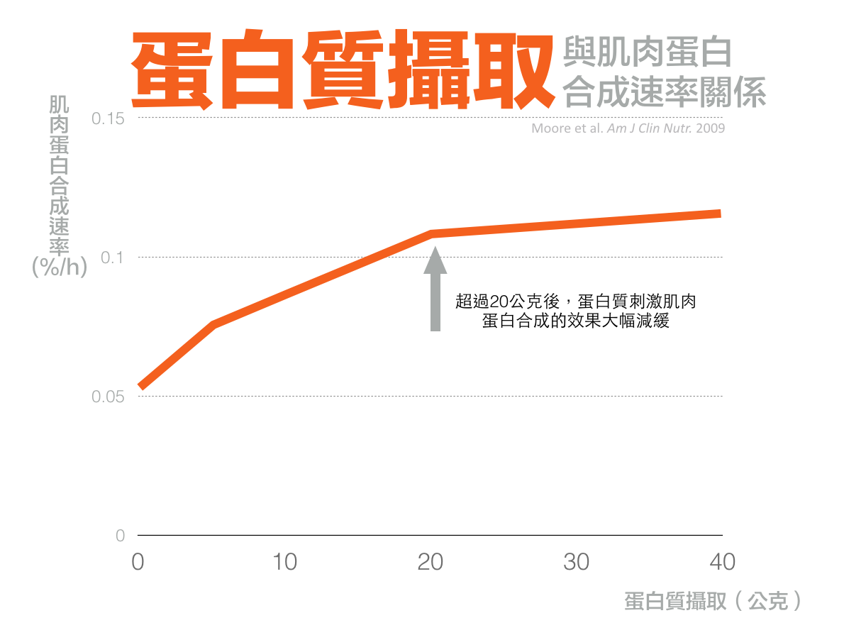 蛋白質攝取方式