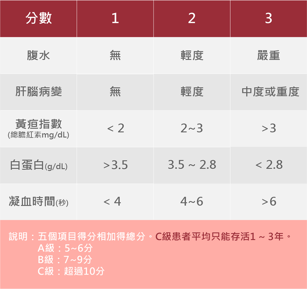 肝硬化分期