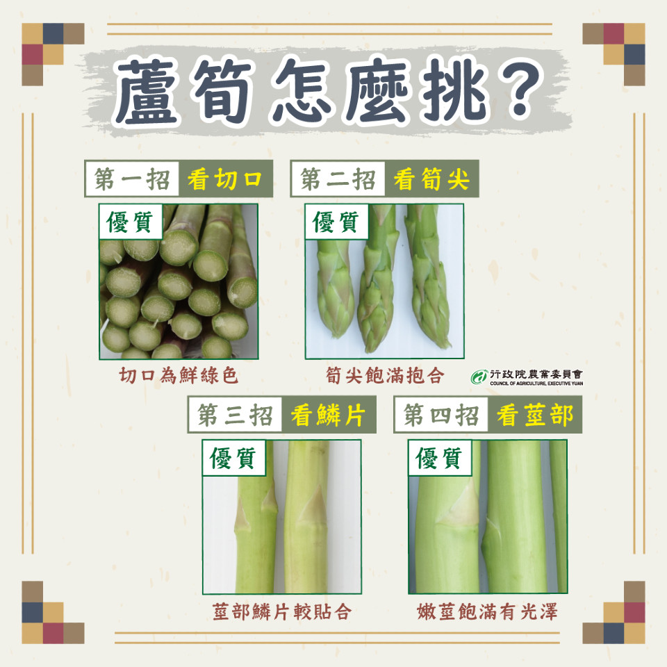 蘆筍處理 蘆筍怎麼挑