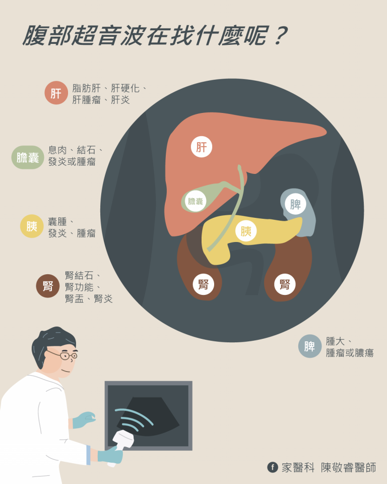 腹部超音波在找什麼