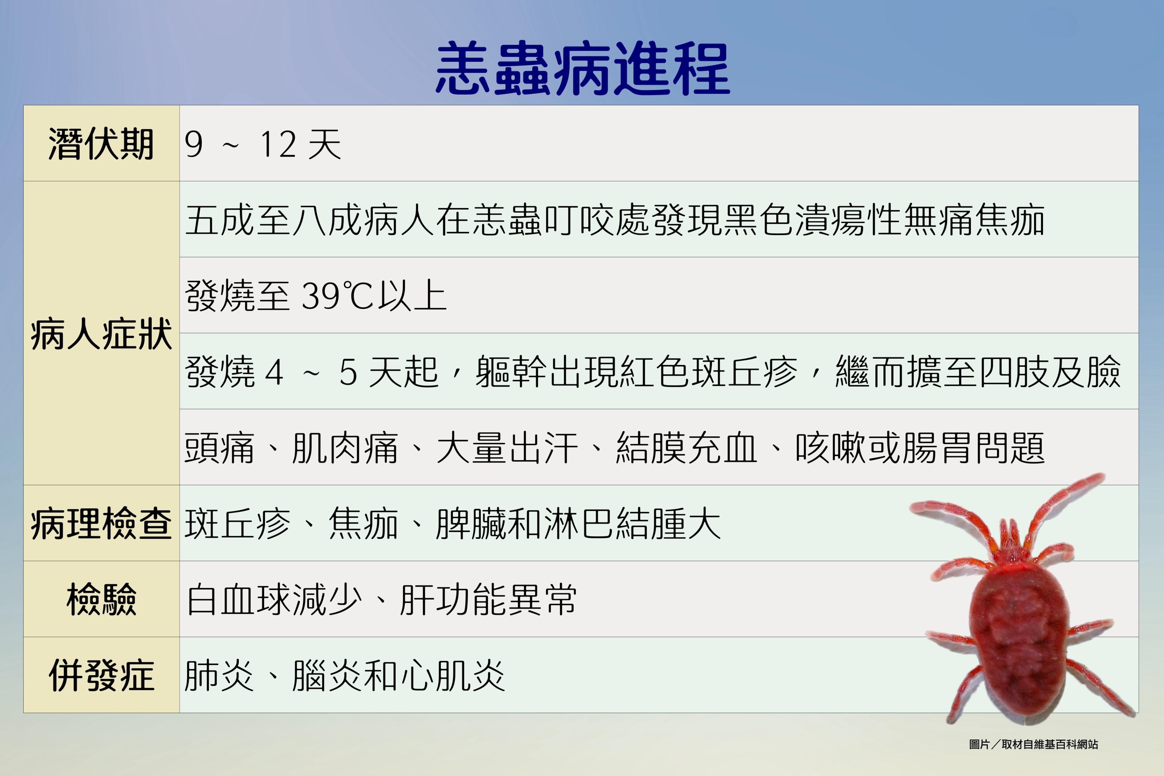 恙蟲病進程
