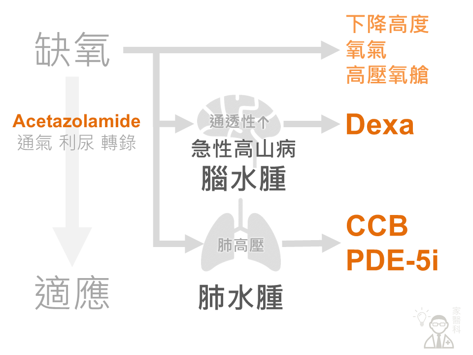高山症