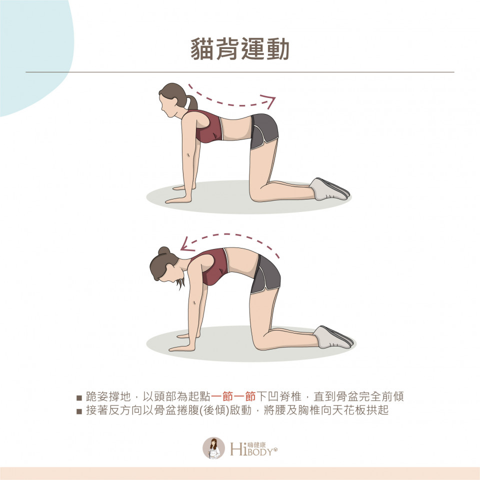 貓背運動
