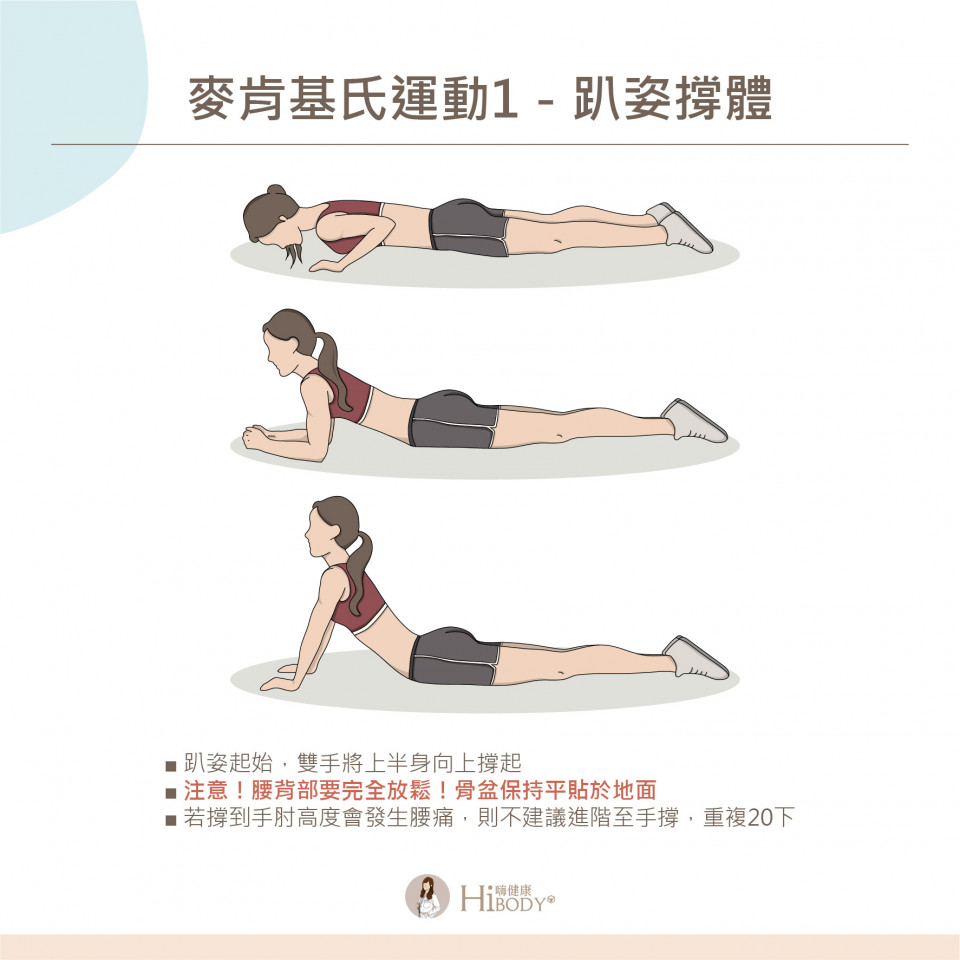 麥肯基之一