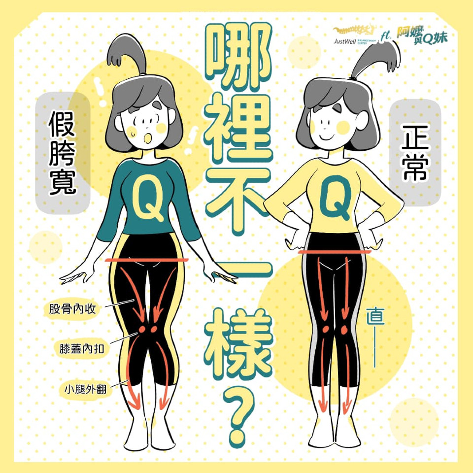 假胯寬是什麼