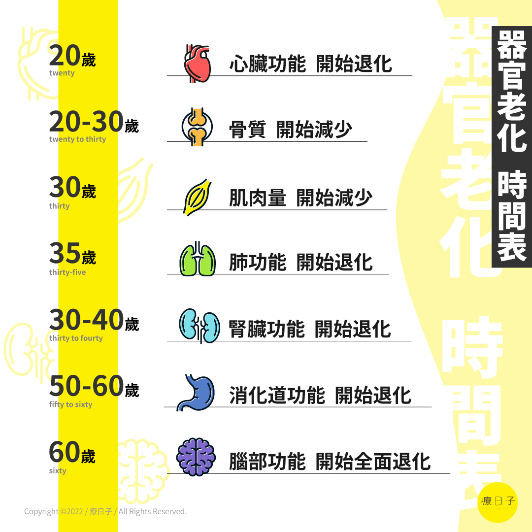 器官老化時間表