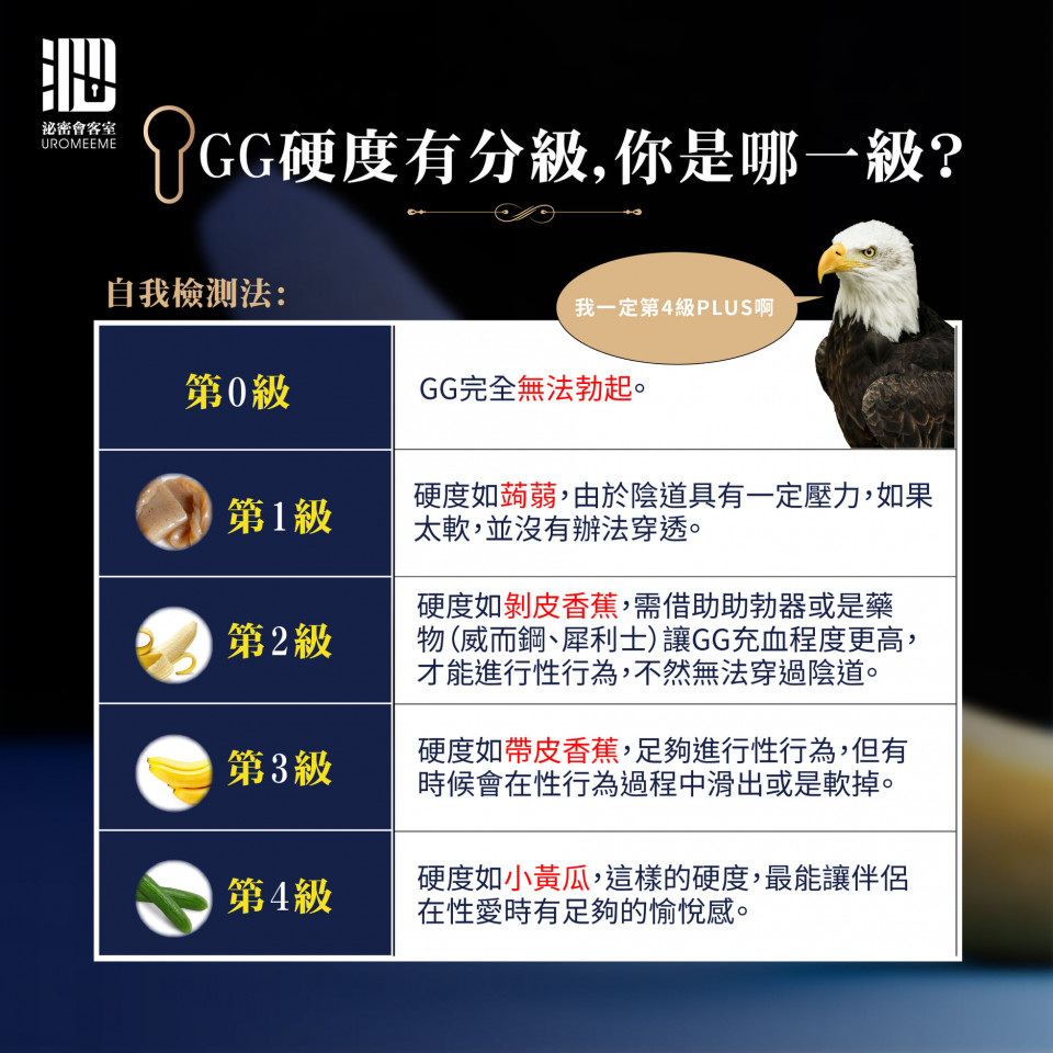 勃起硬度分級