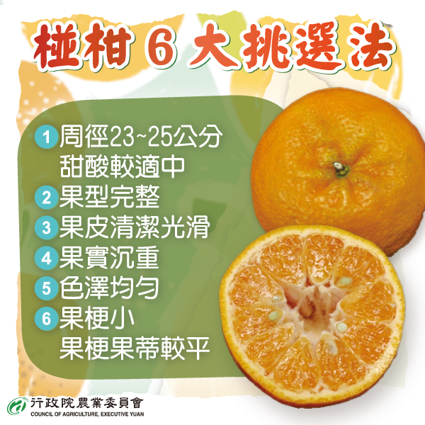 怎麼挑橘子？桶柑、柳丁怎麼選？一文搞懂橘子種類/挑選法- 療日子