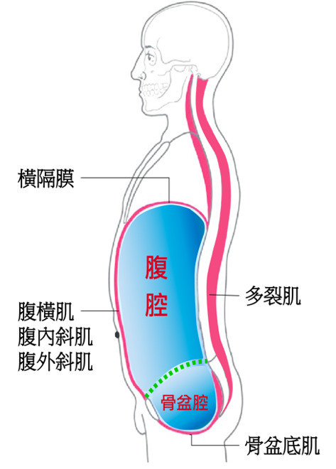 腹內壓