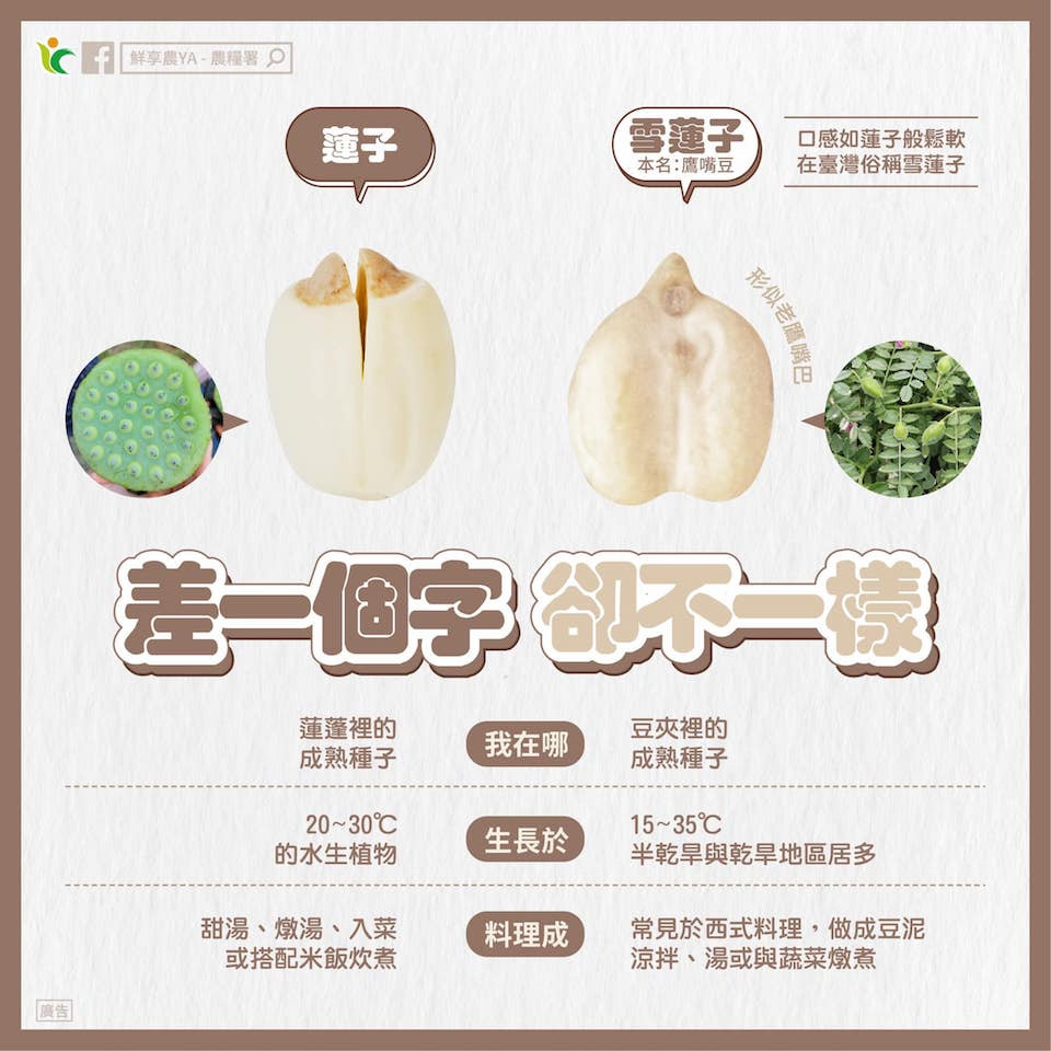 鷹嘴豆營養