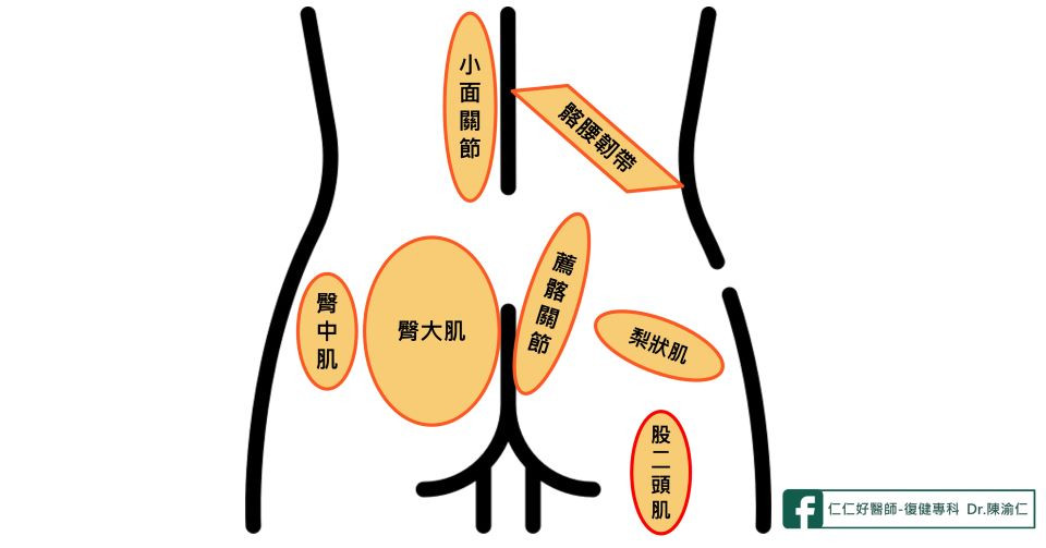 單車運動傷害