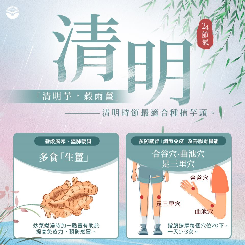 清明養生