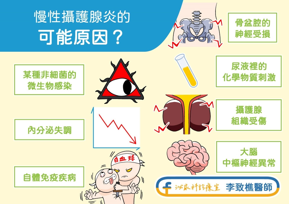 慢性攝護腺炎原因
